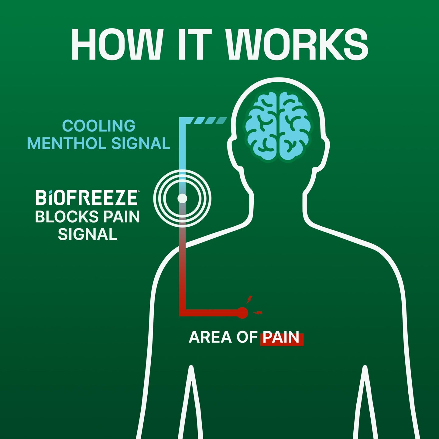 Biofreeze Dry Stick, Mess-Free Relief for Neck, Shoulder, Knee, Hip, Hand & Joint, Cooling Menthol Pain Relief Stick, Up to 100 Uses BiofreezeBuy Supplements Australia