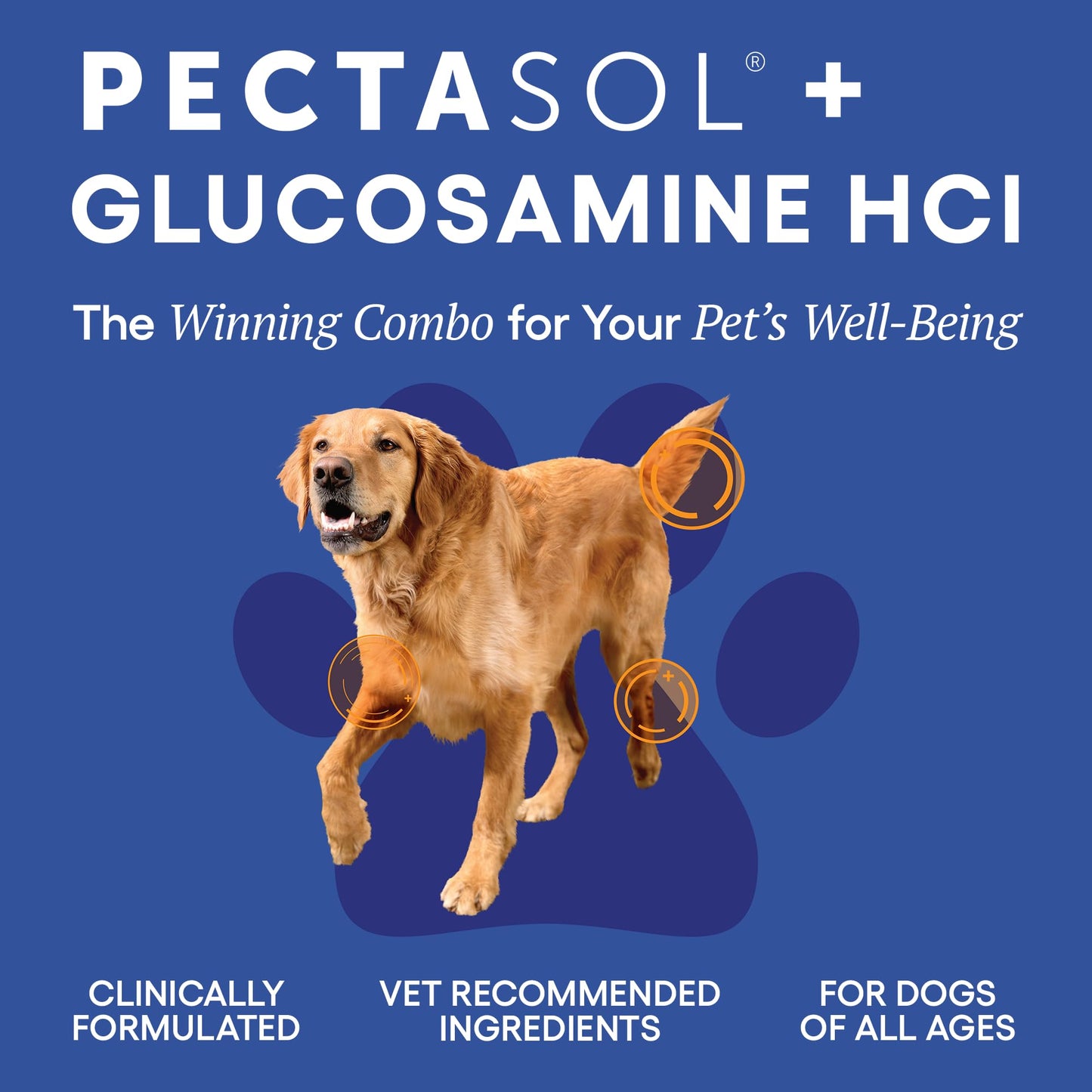 ecoNugenics PectaPaws Chewable Dog Supplements – Beef Flavor, 90 Count – PectaSol Modified Citrus Pectin + Glucosamine HCI for Dogs of All Ages, Supports Mobility, Joints, Immune Function, Pain Relief EcoNugenicsBuy Supplements Australia