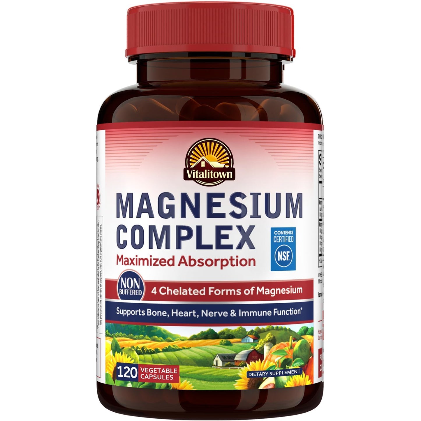 Vitalitown Magnesium Complex Supplement 500mg - NSF Certified Magnesium Glycinate, Malate, Taurate & Citrate - Chelated High Absorption & Gentle on Stomach