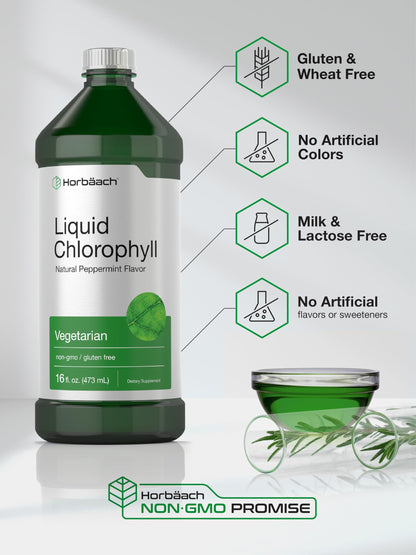 Chlorophyll Liquid Drops 100mg | 32 oz (2 x 16 oz Bottles) | Natural Peppermint Flavor HorbäachBuy Supplements Australia