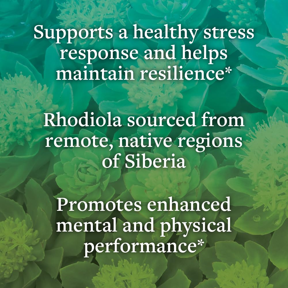 kokora Extra Strength Rhodiola Rosea – Stress Relief, Endurance & Promotes Mental & Physical Performance* - with Siberian Rhodiola, Rosavins, Organic Holy Basil - Vegan, Non-GMO - 60 Capsules kokoraBuy Supplements Australia