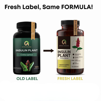 Afiyah Organic - Premium Quality Costus Igneus (Insulin Plant) Capsules - Easy to Swallow 120 Veggie Capsules (1 Month Supply) - Made in the USA - Including Complete Health Support Program Afiyah OrganicBuy Supplements Australia