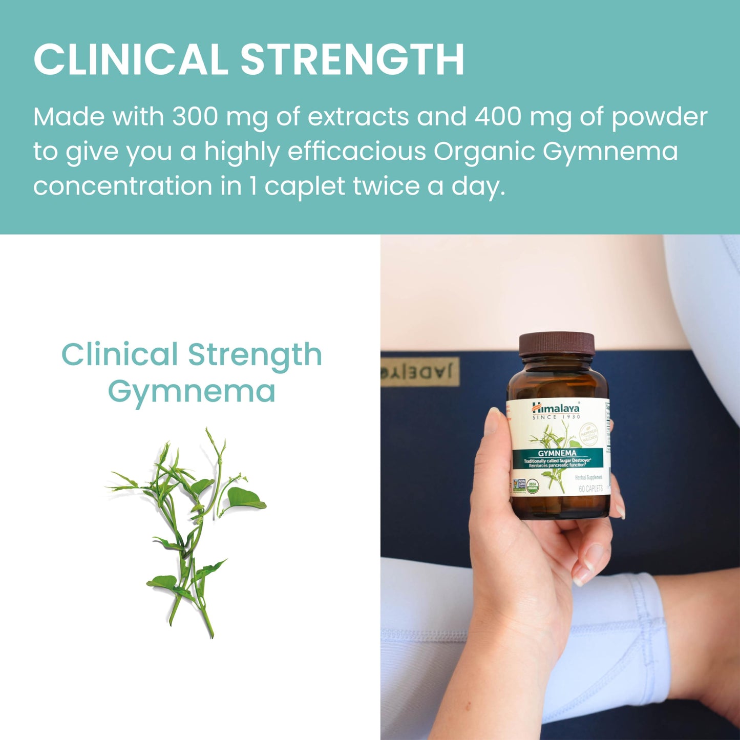 Himalaya Organic Gymnema Herbal Supplement for Weight Management, USDA Certified HimalayaBuy Supplements Australia