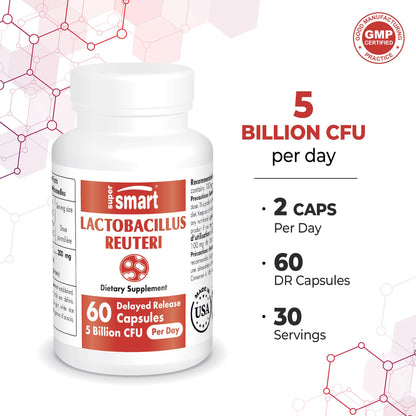 Supersmart - Lactobacillus Reuteri 5 Billion CFU per Day (Probiotic Supplement) SupersmartBuy Supplements Australia