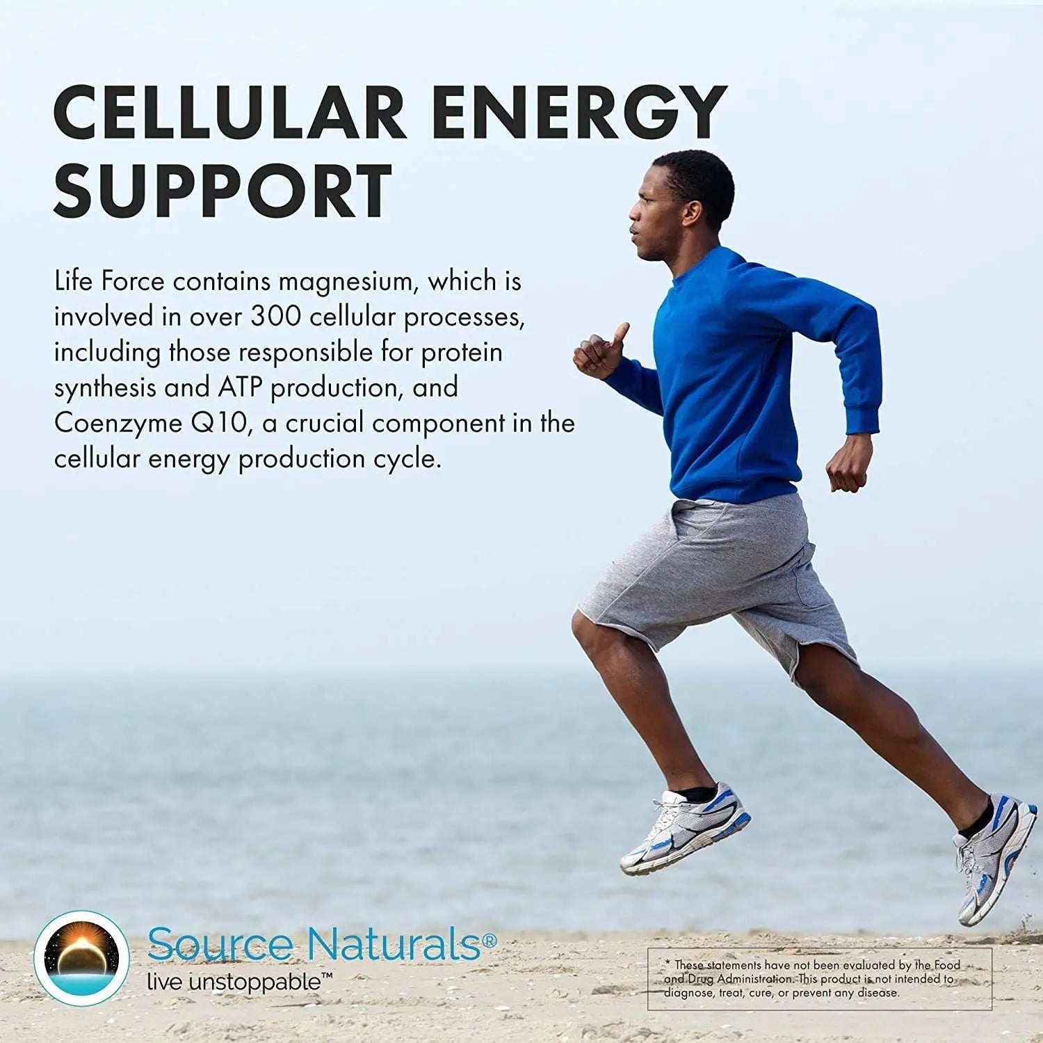 Source Naturals Men's Life Force Multiple Daily Multivitamin & Immune Health Supplement - 13 Essential Vitamins, Nutrients & Minerals - 180 Tablets Source Naturals