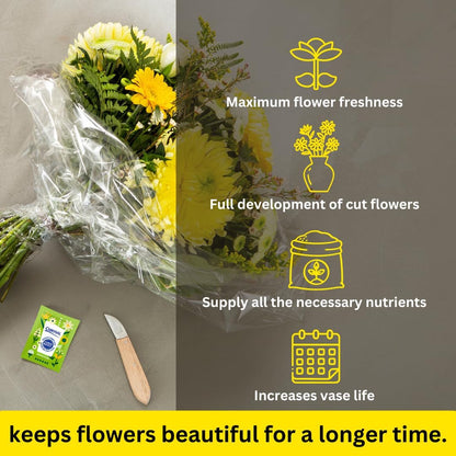 Chrysal Clear Flower Food Packets – Single Packet – Flower Arrangements & Bouquets – Floral Supplies ChrysalBuy Supplements Australia