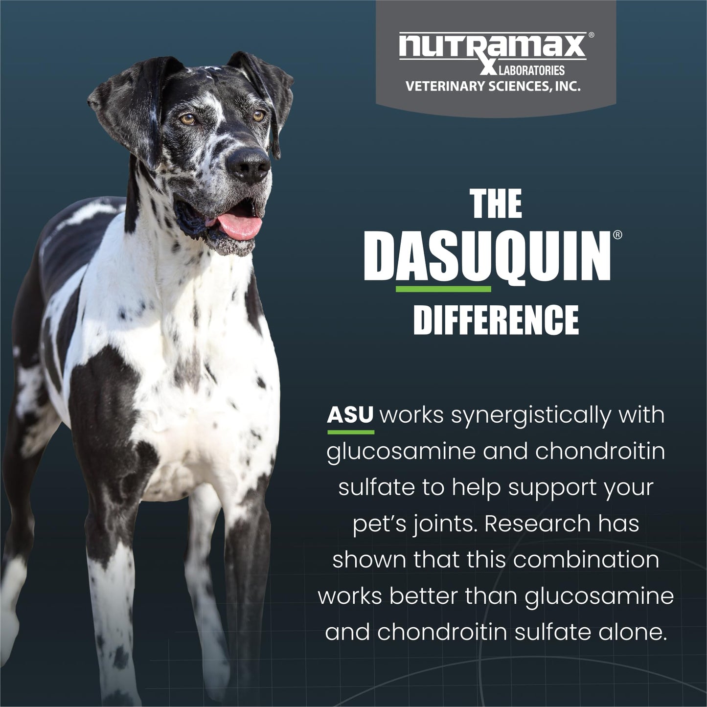 Nutramax Dasuquin for Large Dogs, Joint Health Supplement, Contains Glucosamine for Dogs, Plus Chondroitin, ASU and More, Supports Healthy Joints, Soft Chews, 84 Count Nutramax LaboratoriesBuy Supplements Australia