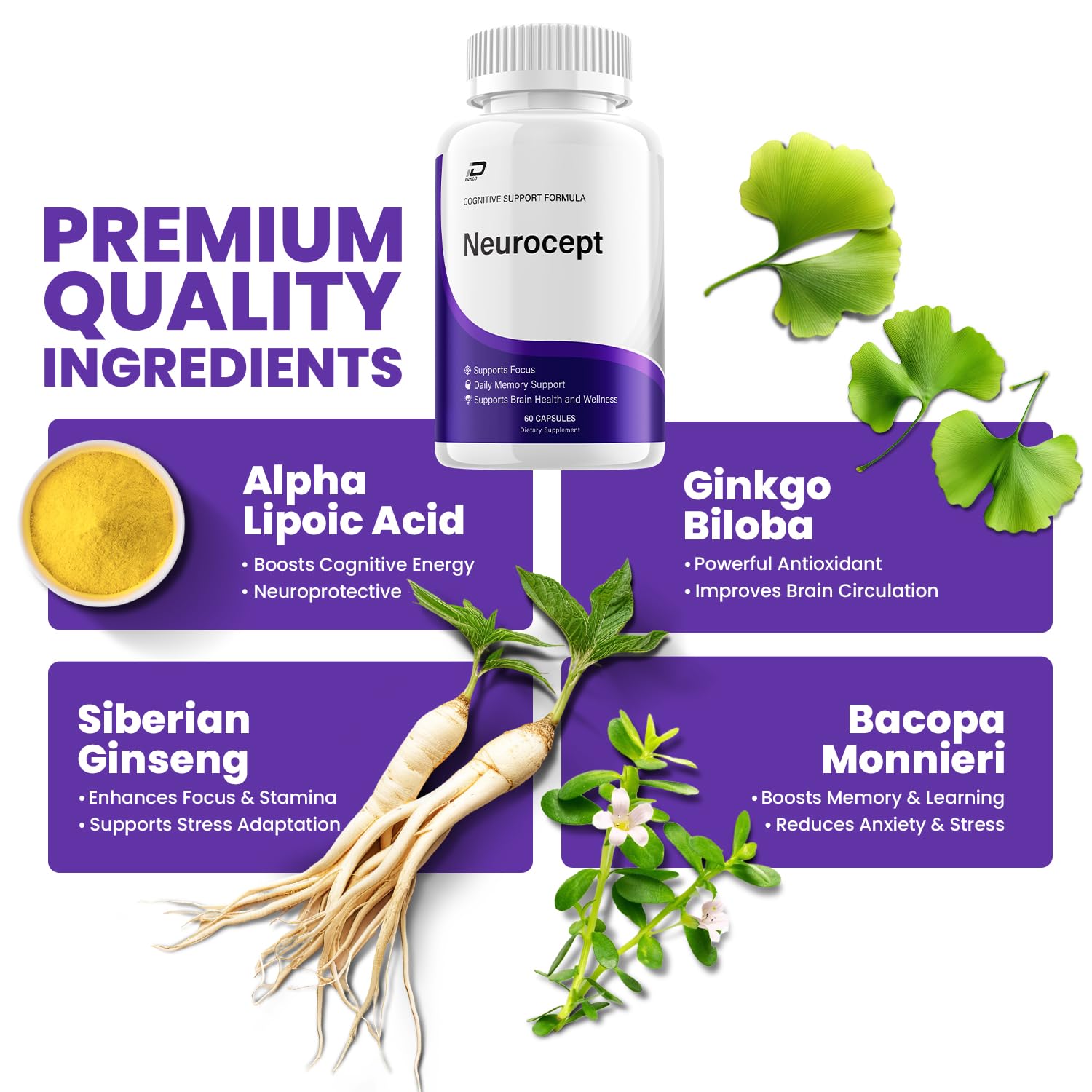 Neurocept Supplement Capsules – All Natural Maximum Strength Formula, Focus & Memory Support (2 Pack – 120 Capsules) IndeloBuy Supplements Australia