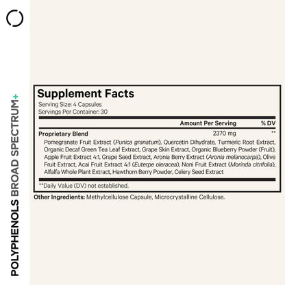 Codeage Polyphenols Broad Spectrum Supplement - Blend of 15 Berries, Fruits, and Botanical Extracts, Decaf Green Tea Leaf, Quercetin, Resveratrol, Pomegranate, Turmeric - Non-GMO - 120 Capsules CodeageBuy Supplements Australia