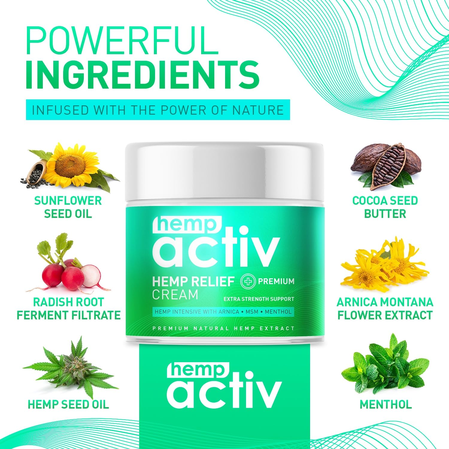 HEMPACTIV Cooling Hemp Cream – Menthol, MSM & Arnica – Fast-Absorbing, Non-Greasy Formula for Muscles & Joints – 4oz Best-Value Size HEMPACTIVBuy Supplements Australia