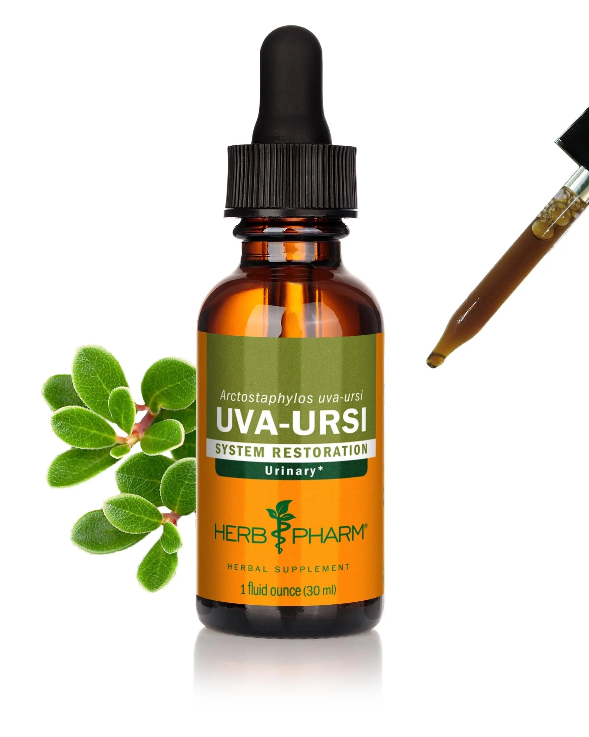 Herb Pharm Uva Ursi Liquid ExtraCount for Urinary System Support, 1 Fl Oz Herb PharmBuy Supplements Australia