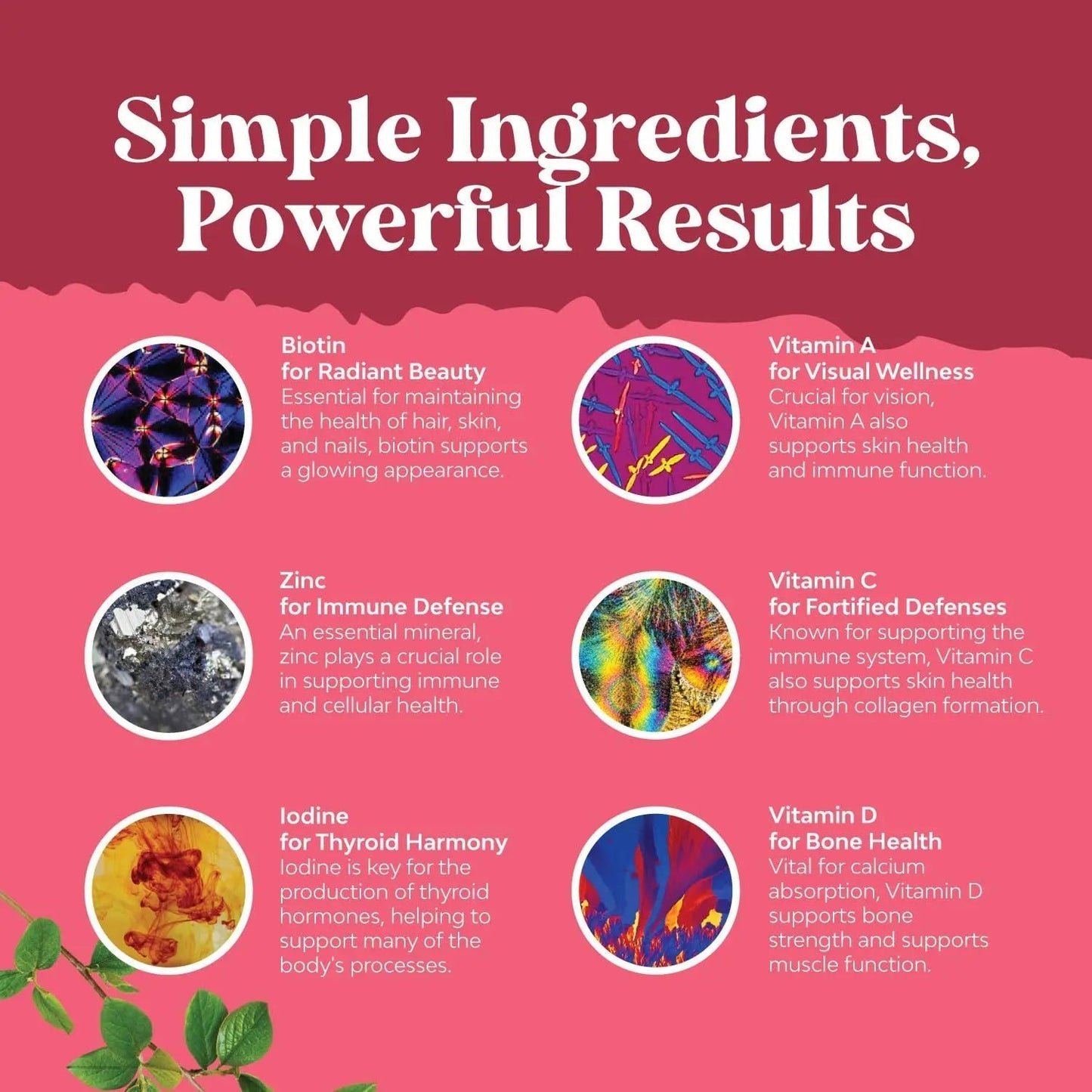 Bundle of Daily Mens Multivitamins Gummies with Zinc and Biotin for Energy and Immunity and Daily Multivitamin for Women Gummies - Gummy Vitamins for Health and Wellness Natures CraftBuy Supplements Australia