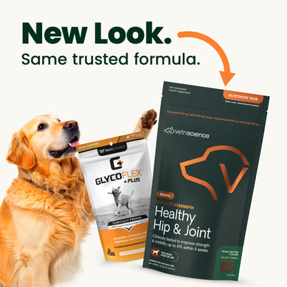 VetriScience Ultimate Strength Hip & Joint Supplement for Dogs, GlycoFlex Plus – MSM, Chondroitin & Green-Lipped Mussel Chews for Mobility, Flexibility, Comfort & Support, Peanut Butter Flavor 120 Cnt VETRISCIENCEBuy Supplements Australia