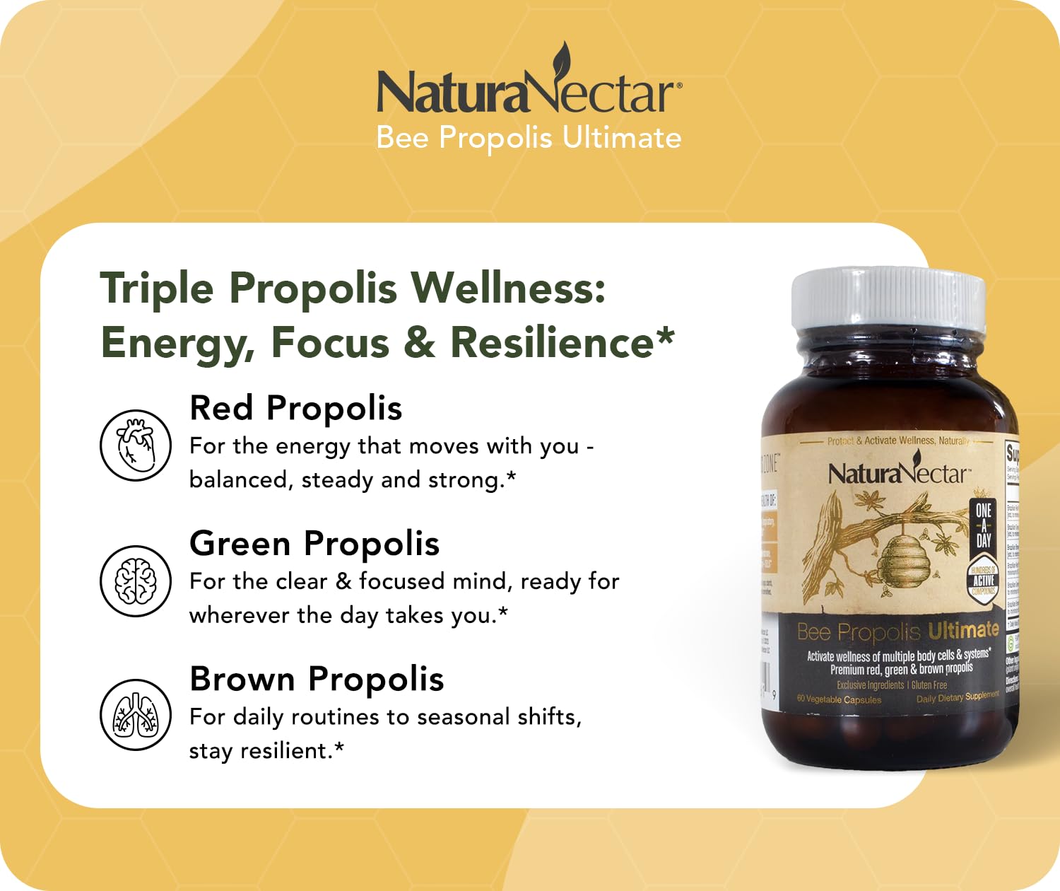 NaturaNectar - Ultimate Bee Propolis Capsules - NSF Contents Certified -Brazilian Red, Brown, & Green - Gluten-Free Supplement with Flavonoids - Naturally Sourced Through Ethical Beekeeping (60pcs.) NaturaNectarBuy Supplements Australia