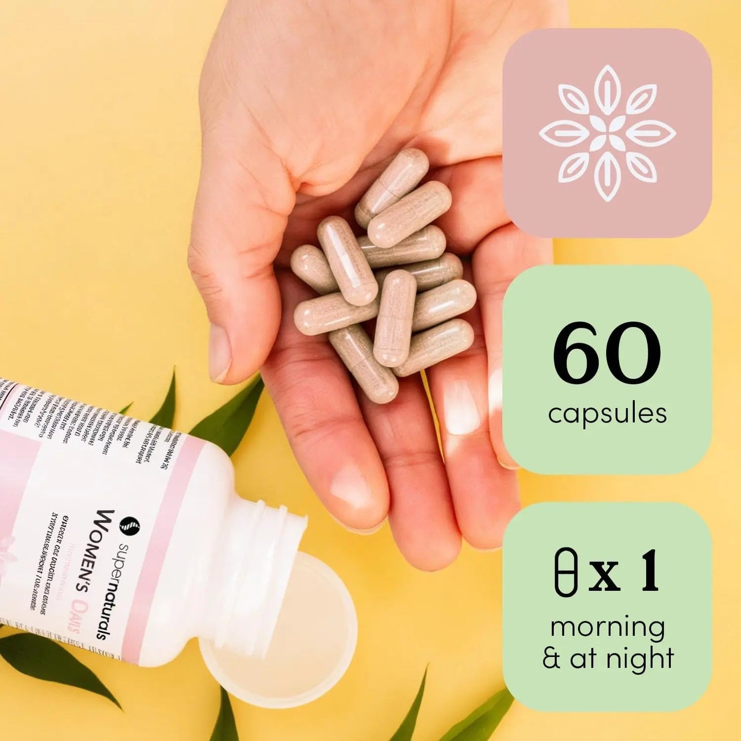 Super Naturals Health, Multivitamin for Women, Immune Defense Supplement Multivitamin Capsules, Vegan Supplements for Women - 60 Capsules JLM NUTRITIONALSBuy Supplements Australia