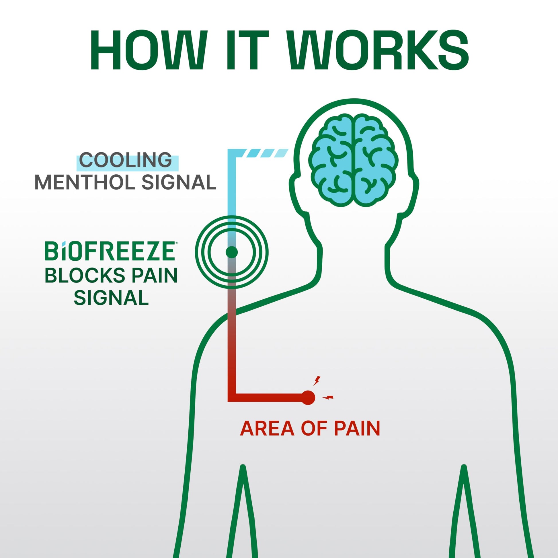 Biofreeze Professional Gel Pain Relief for Knee, Neck, Hip, Joint, Shoulder, & Simple Backache, Arthritis Pain Reliever, Sore Muscle Relief, Colorless Menthol Gel 32 Fl Oz BiofreezeBuy Supplements Australia