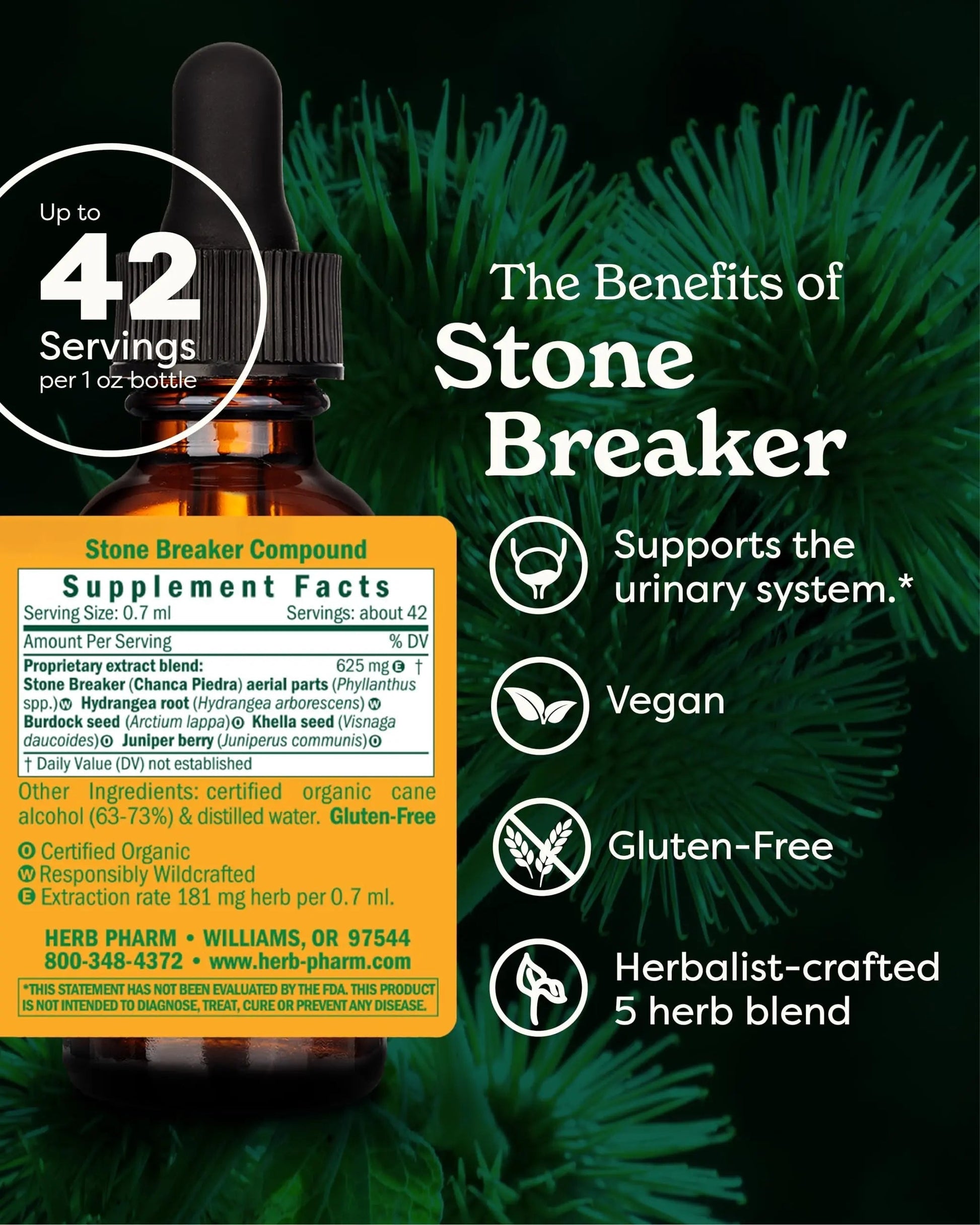 Herb Pharm Stone Breaker (Chanca Piedra) Compound Liquid for Urinary System Support - 1 Fl Oz Herb PharmBuy Supplements Australia