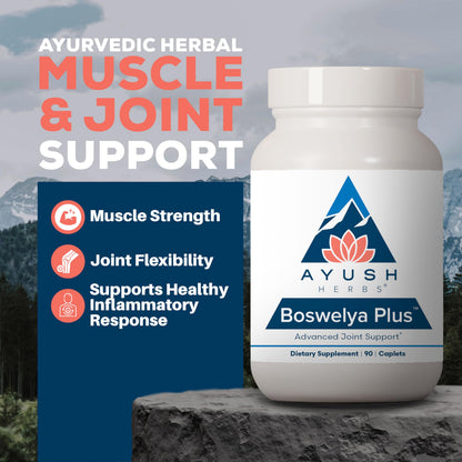 Ayush Herbs Boswelya Plus - Glucosamine Chondroitin Joint Support Supplement, Turmeric Muscle Support for Men & Women, Joint Care with Curcumin - 90 Vegetarian Capsules (1 Count) Ayush HerbsBuy Supplements Australia