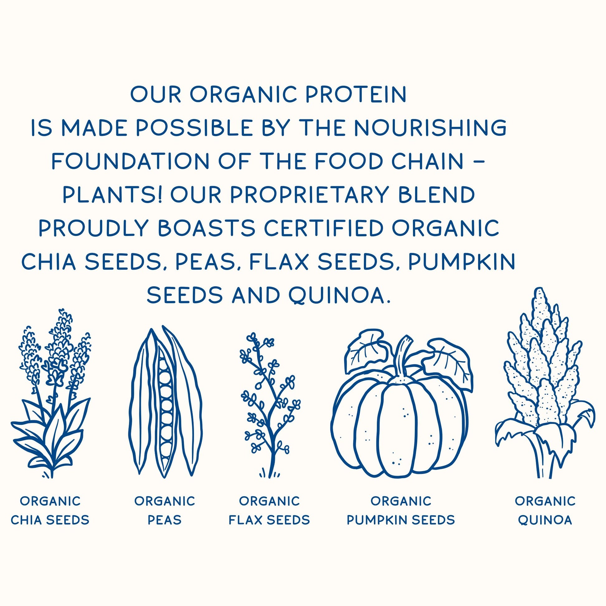 KOS Plant Based Protein Powder, Blueberry Muffin - Organic Pea Protein Superfood KOSBuy Supplements Australia