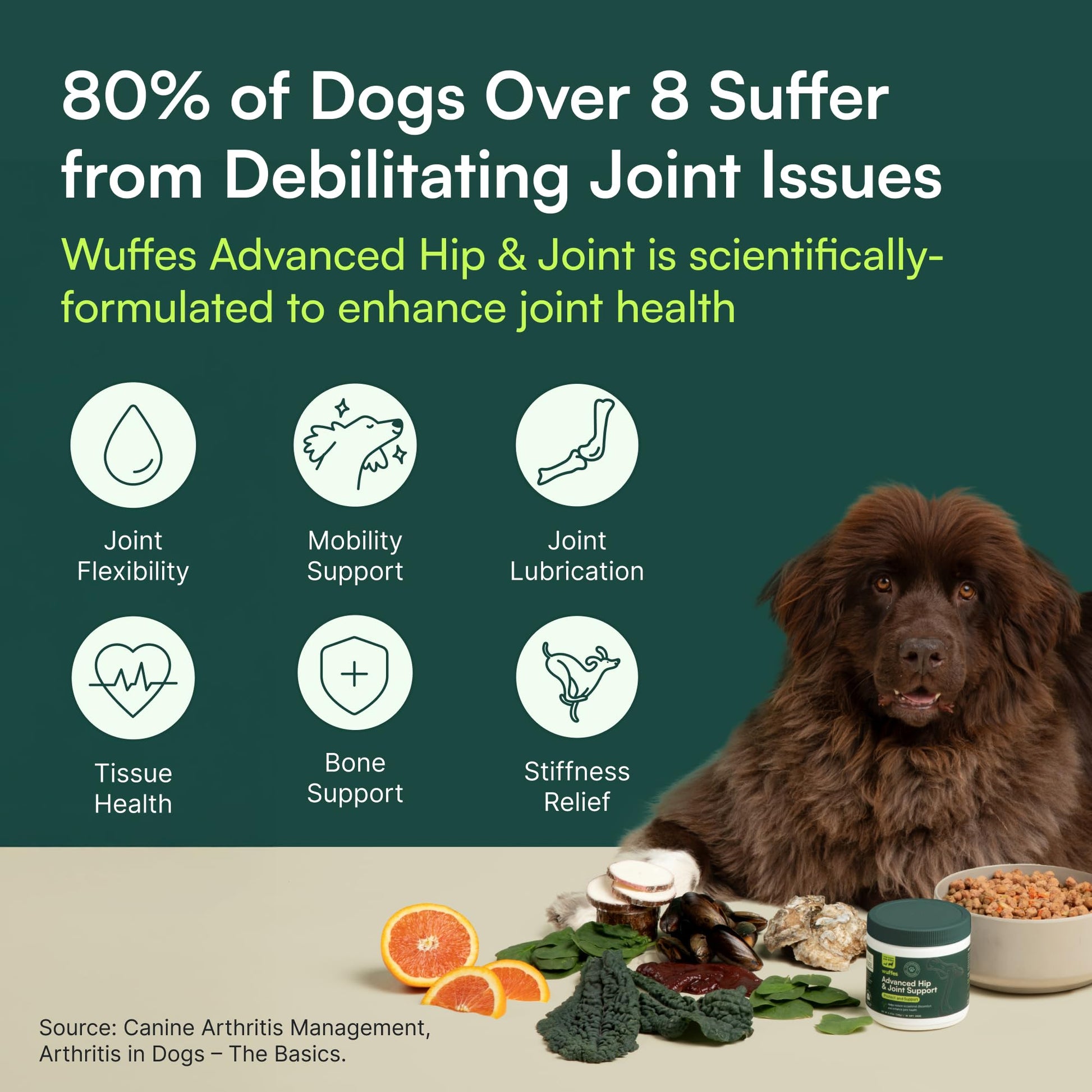 Wuffes Chewable Dog Hip & Joint Supplement - Glucosamine & Chondroitin Chews - Dog Joint Supplements & Vitamins - Extended Joint Care (Large Breed (Over 65 lbs), 60 Chews (Pack of 2)) WuffesBuy Supplements Australia