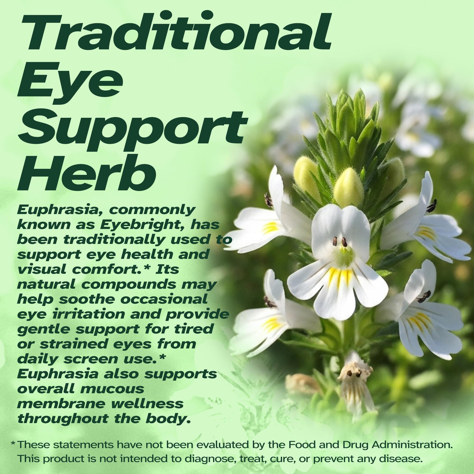 Vitalumina Eyebright Herbal Liquid with Organic Euphrasia, Lutein, Bilberry, Blueberry & Goji – Plant-Based Vegan Supplement for Adults – 4 fl oz VitaluminaBuy Supplements Australia