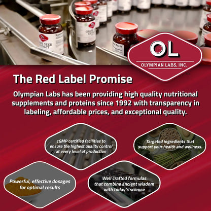 Olympian Labs Complete Prebiotic and Probiotic Supplement - 25 Billion Live Shelf Stable Cultures - 30 Vegetarian Capsules Olympian LabsBuy Supplements Australia
