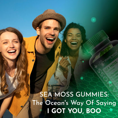 WELLNESS LABSRX Sea Moss Gummies, 3200mg Irish Sea Moss Mixed Berry Flavor with Maximum Potency Bladderwrack and Burdock Root - Supports Skin, Energy and Immunity - 90 Count WELLNESS LABSRXBuy Supplements Australia