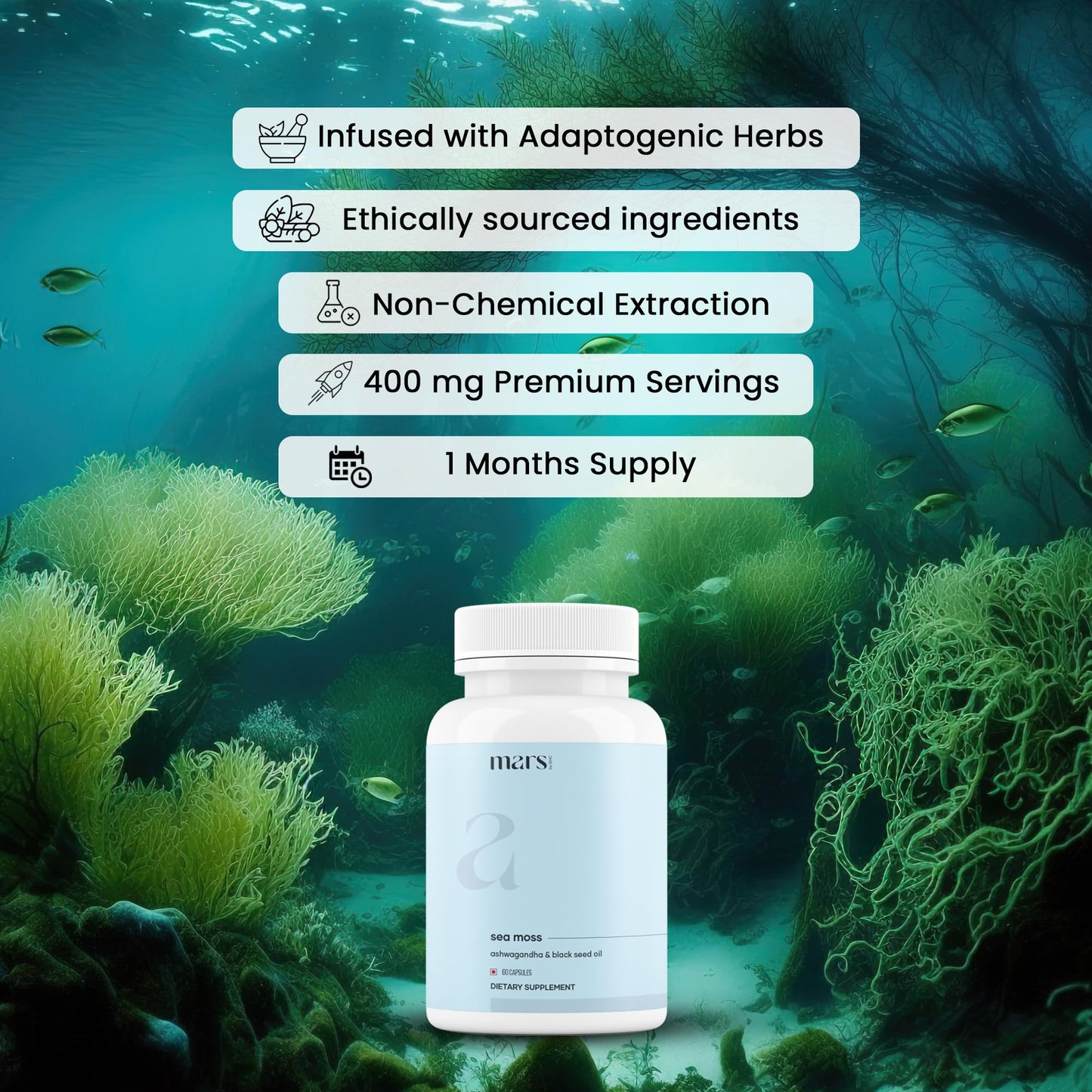 mars by GHC Mars Surge Natural Sea Moss Caps (60N) | Packed with 84 Minerals | Powered with Black Seed Oil | | Overall Well Being - Pack of 1 mars by GHCBuy Supplements Australia