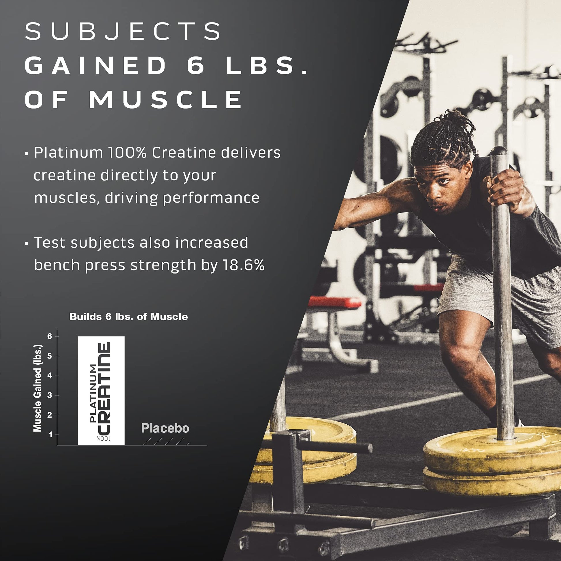 Muscletech Whey Protein Powder Phase8 Protein Powder & nohydrate Powder Platinum MuscletechBuy Supplements Australia