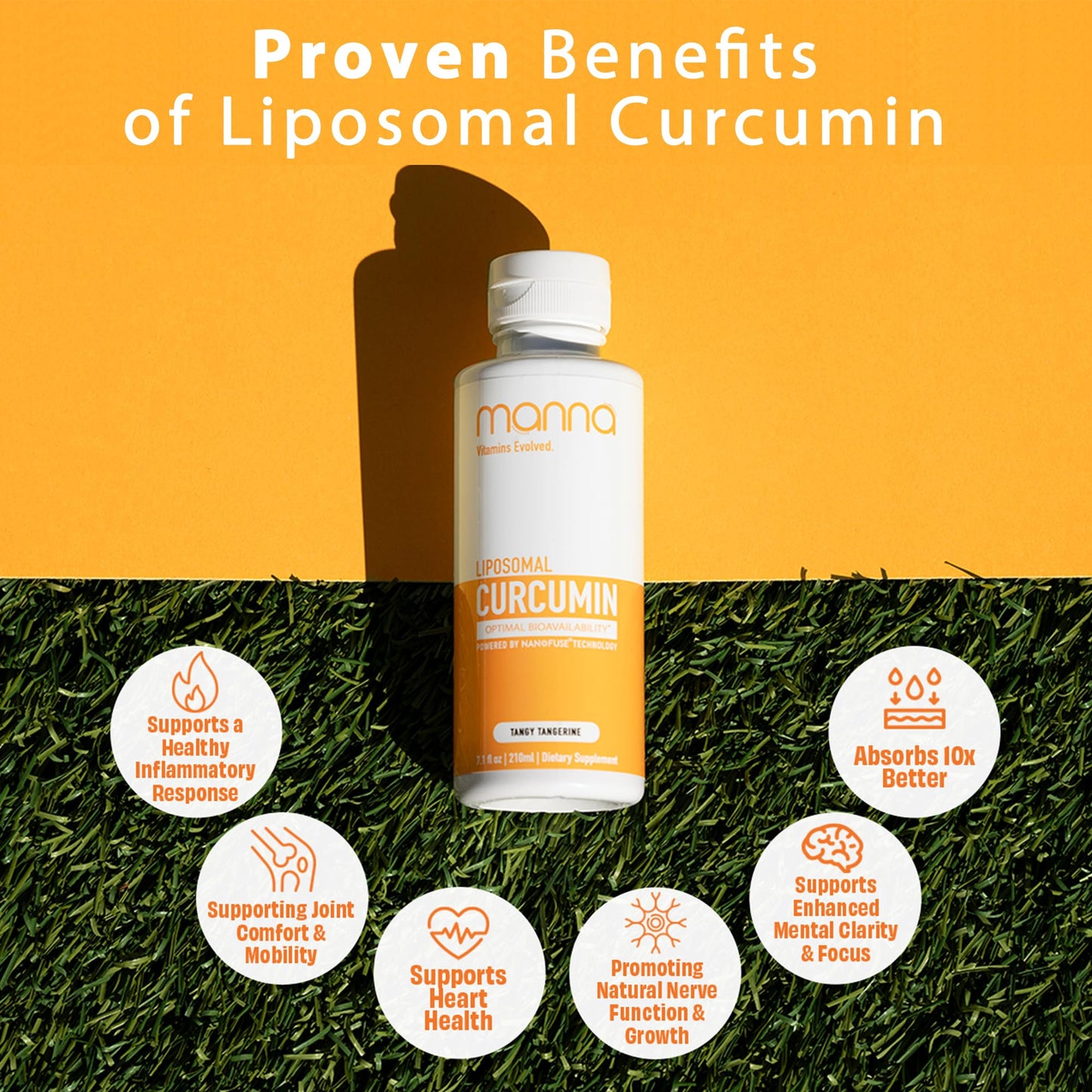 Manna Vitamins Evolved Liposomal Liquid Curcumin for Advanced Absorption Best Turmeric Supplement for Daily Joint & Immune Health Support - Vegan, Non-GMO, 95% Curcuminoids (1 Pack) Manna Vitamins EvolvedBuy Supplements Australia