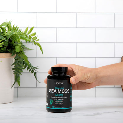 SPARTIS Certified Organic Sea Moss Capsules 2250mg Wildcrafted Irish Sea Moss Burdock Root Bladderwrack Supplement Raw Seamoss Pills & Powder (Pack of 1 at 180-Caps) SPARTISBuy Supplements Australia