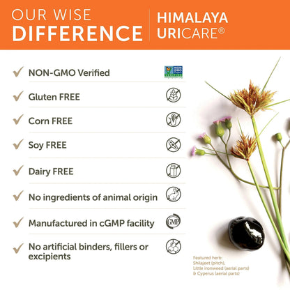 Himalaya UriCare Herbal Supplement, Kidney & Bladder Support, Urinary Tract & Urine Flow Support, Caffeine Free, Non-GMO, Gluten Free, Vegetarian, 240 Capsules, 60 Day Supply HimalayaBuy Supplements Australia