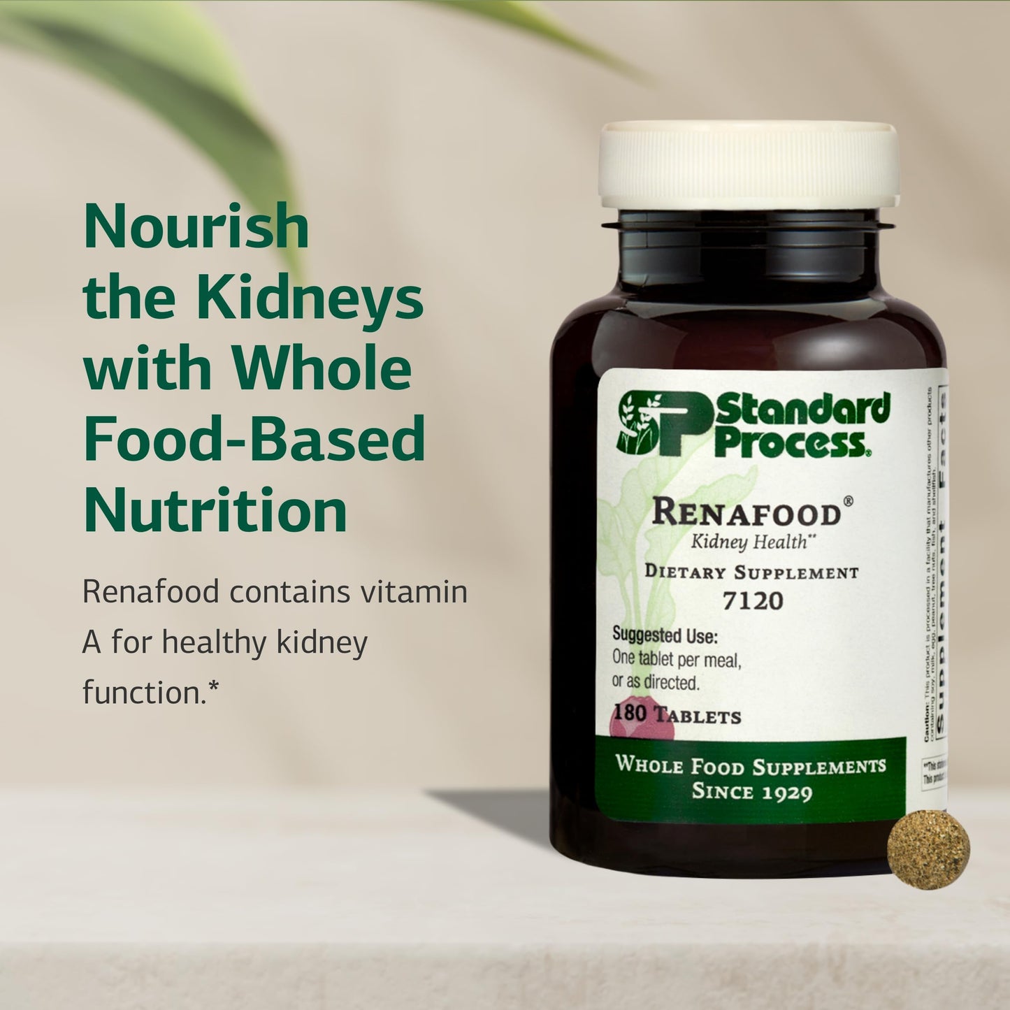 Standard Process Renafood - Supports Healthy Kidney Function & Antioxidant Activity - Contains Vitamins A - Non-Soy - 180 Tablets Standard Process Inc.Buy Supplements Australia