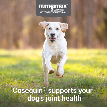 Nutramax Cosequin for Dogs Joint Health Supplement, Contains Glucosamine, Plus Chondroitin, MSM and Omega-3s, Supports Joint and Skin and Coat Health, Soft Chews, 120 Count Nutramax LaboratoriesBuy Supplements Australia
