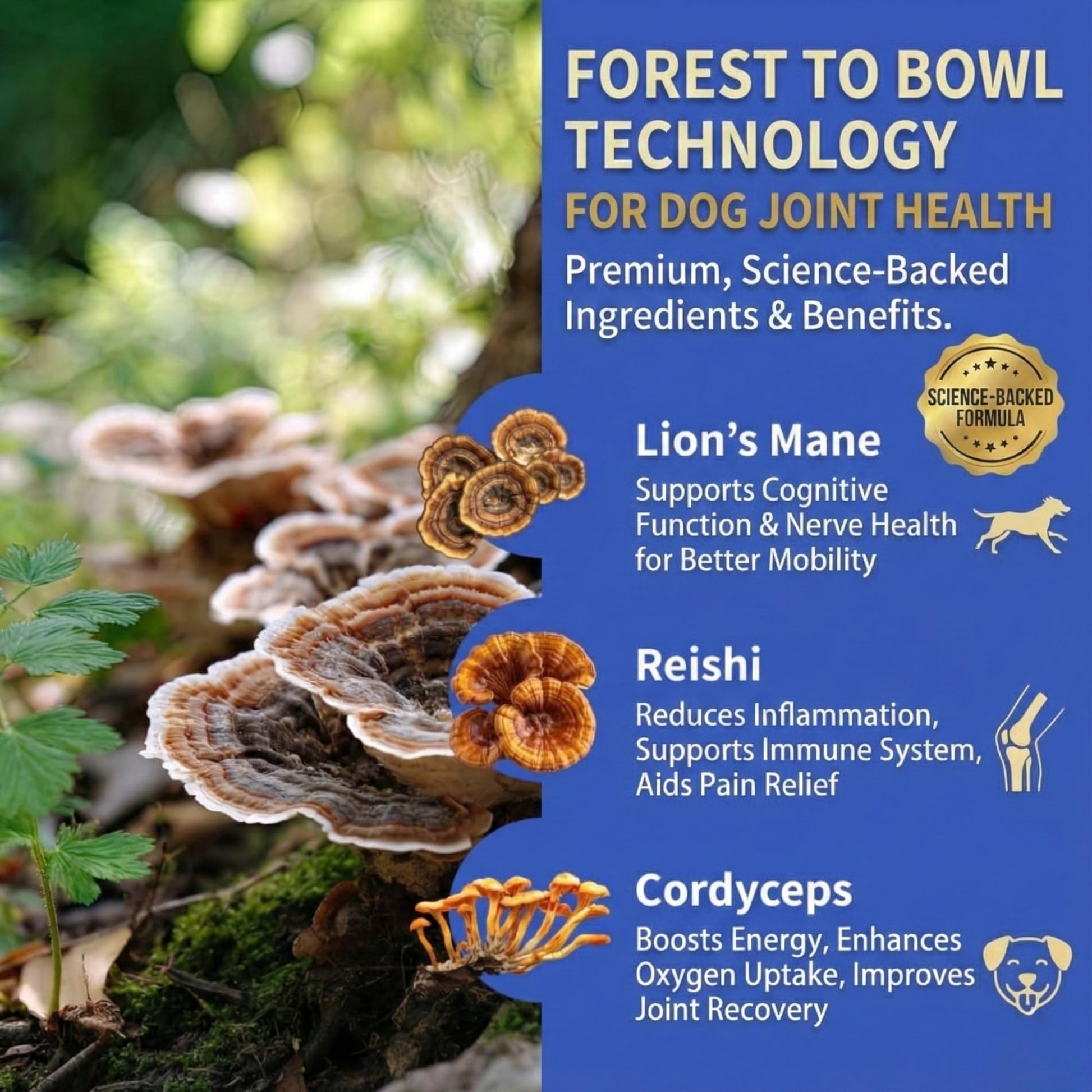 Fifth & Fido Joint Supplement for Dogs - Glucosamine for Dogs - Pet Vitamins and Supplements Powder with Chondroitin & MSM - Hip & Joint Support for Mobility, Stiffness & Flexibility - Mushroom Blend Fifth & FidoBuy Supplements Australia