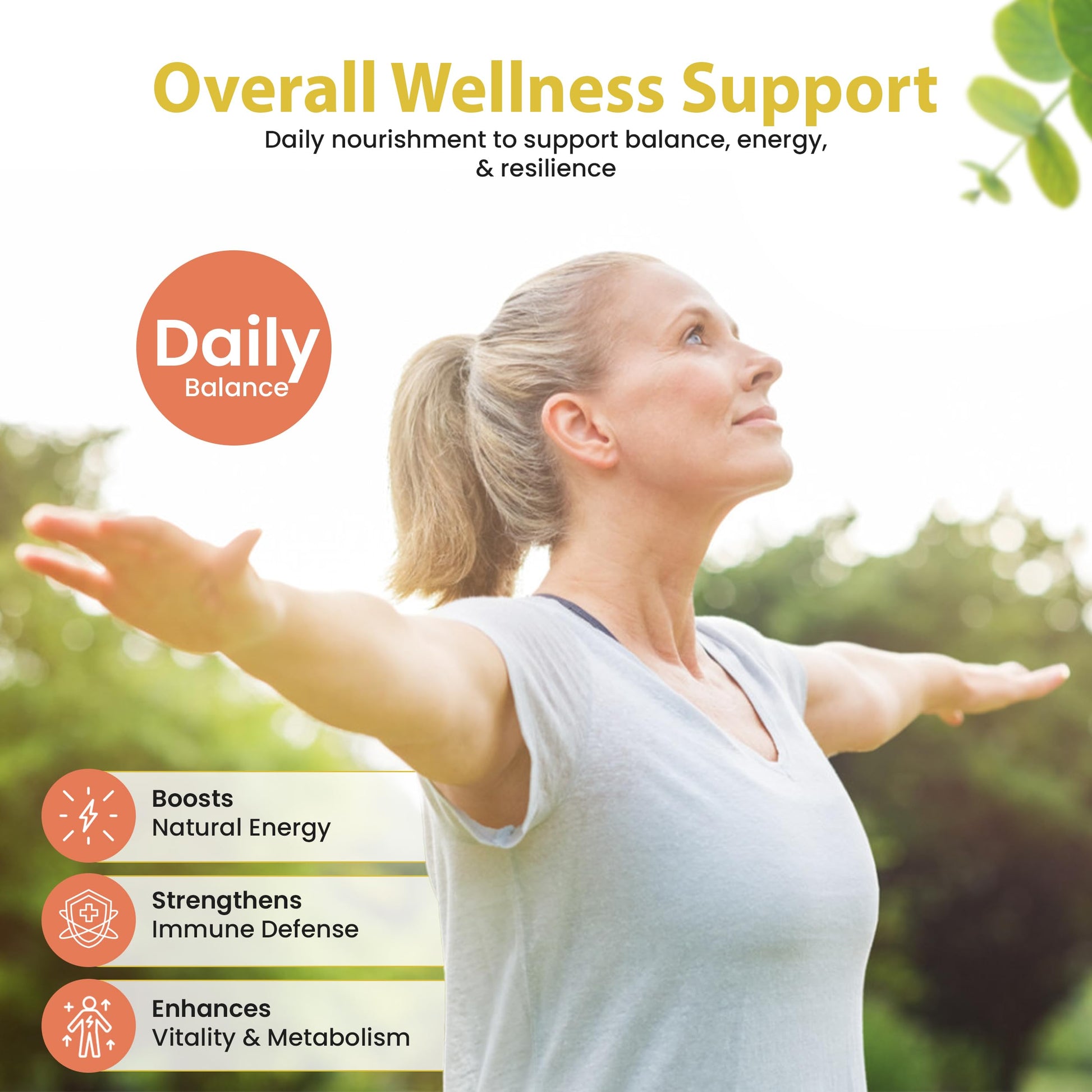 Bella All Natural Moringa Capsules 60 Count - Moringa Oleifera Leaf Supplement with Pomegranate & Elderberry Flavor, Pure Organic Moringa Capsules for Immune, Energy & Skin Health Support Bella All NaturalBuy Supplements Australia