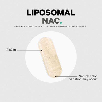 Codeage Liposomal NAC Supplement - N-Acetyl L-Cysteine Amino Acid - 2 Month Supply - Free-Form NAC - Phospholipid Complex - Vegan, Non-GMO, Gluten-Free, Dairy-Free - 120 Capsules CodeageBuy Supplements Australia