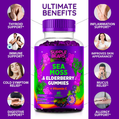 Supplebears Sea Moss Gummies & Elderberry - Vitamin C + Zinc – Extra Strength Immune SupplebearsBuy Supplements Australia