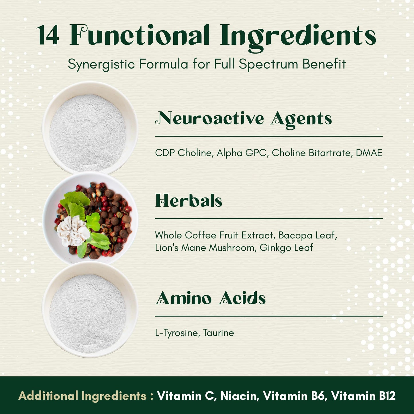 Rootful Mind Alpha Focus Nootropic - Memory and Focus Brain Booster Supplement with Choline, Citicoline, GPC, L-Tyrosine, Bacopa Monnieri, DMAE, Gingko Biloba, Lion's Mane, Niacinamide - 60 Capsules Rootful MindBuy Supplements Australia