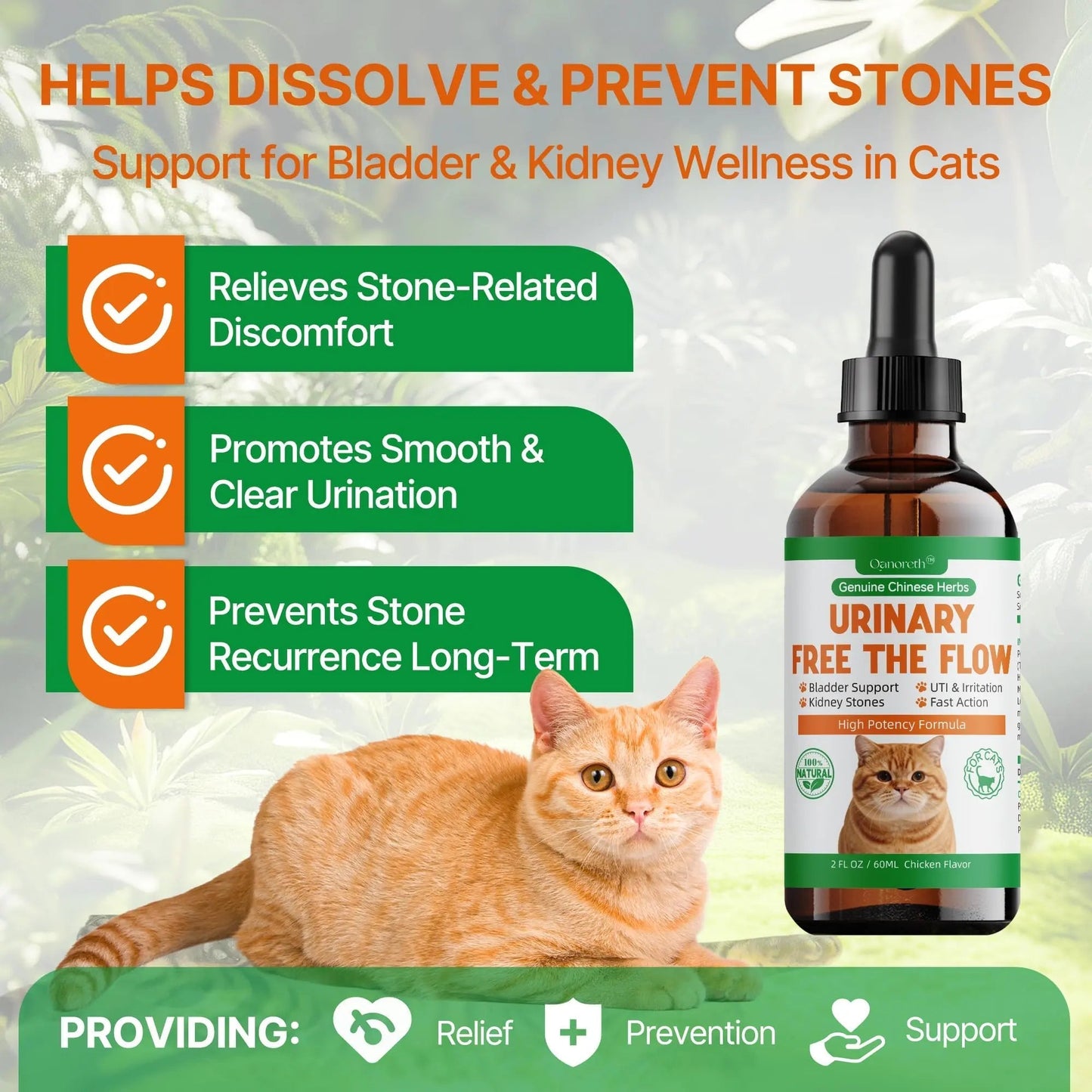 Cat Bladder Remedy for Stones & Crystals, Kidney StonesDissolver forCat- Urinary Free The Flow - Cat Urinary Tract Infection Treatment for Stones, Herbal CatUTI Remedy for Stone Relief & Prevention QanorethBuy Supplements Australia
