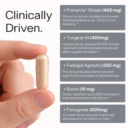 Testosterone Booster for Men - Sheer Alpha T-Booster - Clinically Backed Dose, Strongest Formula - Made in USA - Premium Blend of Fadogia Agrestis Tongkat Ali and Shilajit. 30 Servings Sheer Strength LabsBuy Supplements Australia