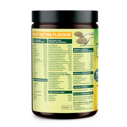 Vital All-in-One Daily Powdered Supplement - Natural Greens Superfood Powder for Energy & Health, Super Greens Powder Drink Mix with Probiotic & Antioxidant Support - Lemon & Ginger, 4.23 oz (120 g) VitalBuy Supplements Australia
