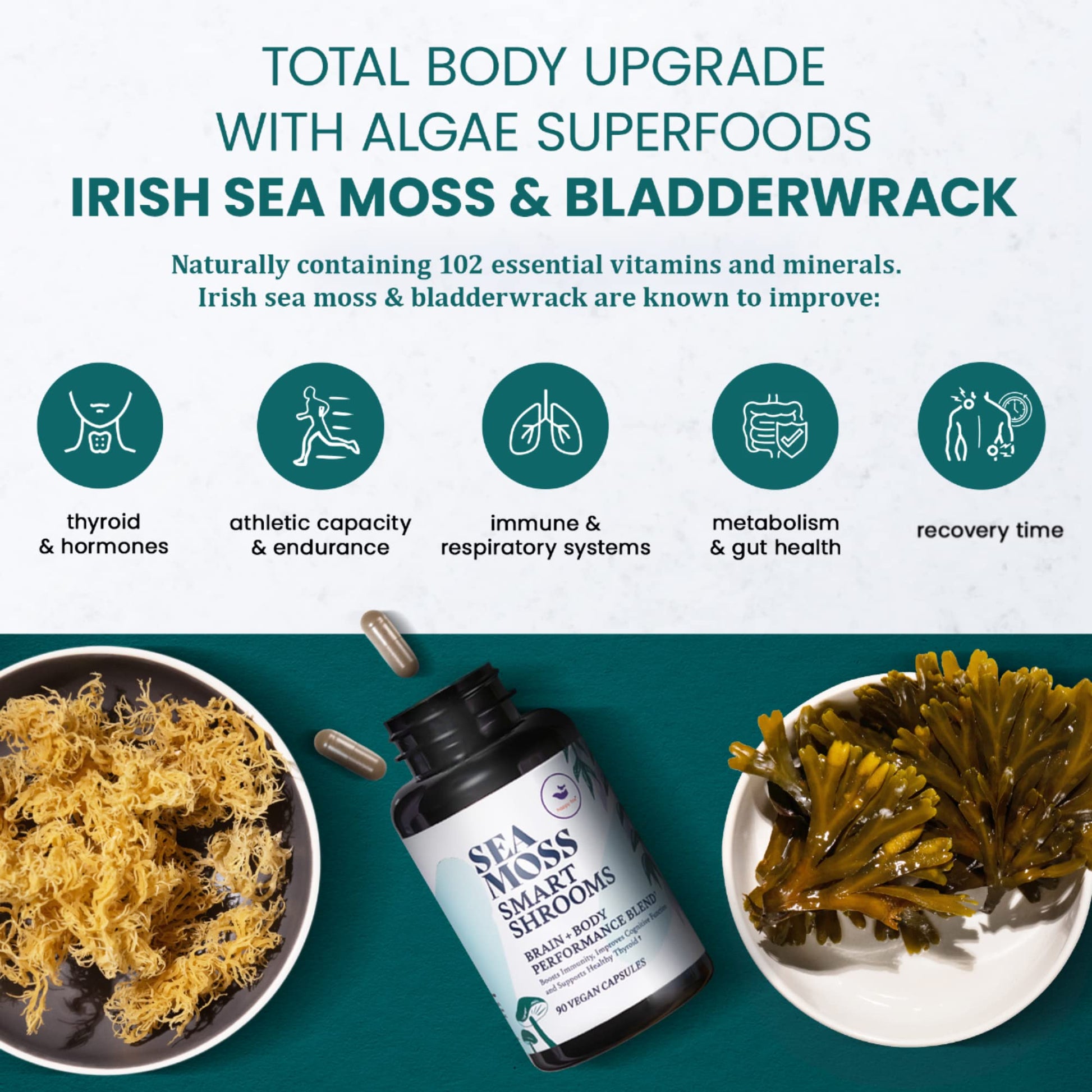 HAPPY FOX Irish Sea Moss Capsules & Mushroom Complex - Organic Seamoss with Adaptogens for Brain Health, 1500mg, 90 Vegan Capsules, Organic Mushroom Supplement HAPPY FOXBuy Supplements Australia