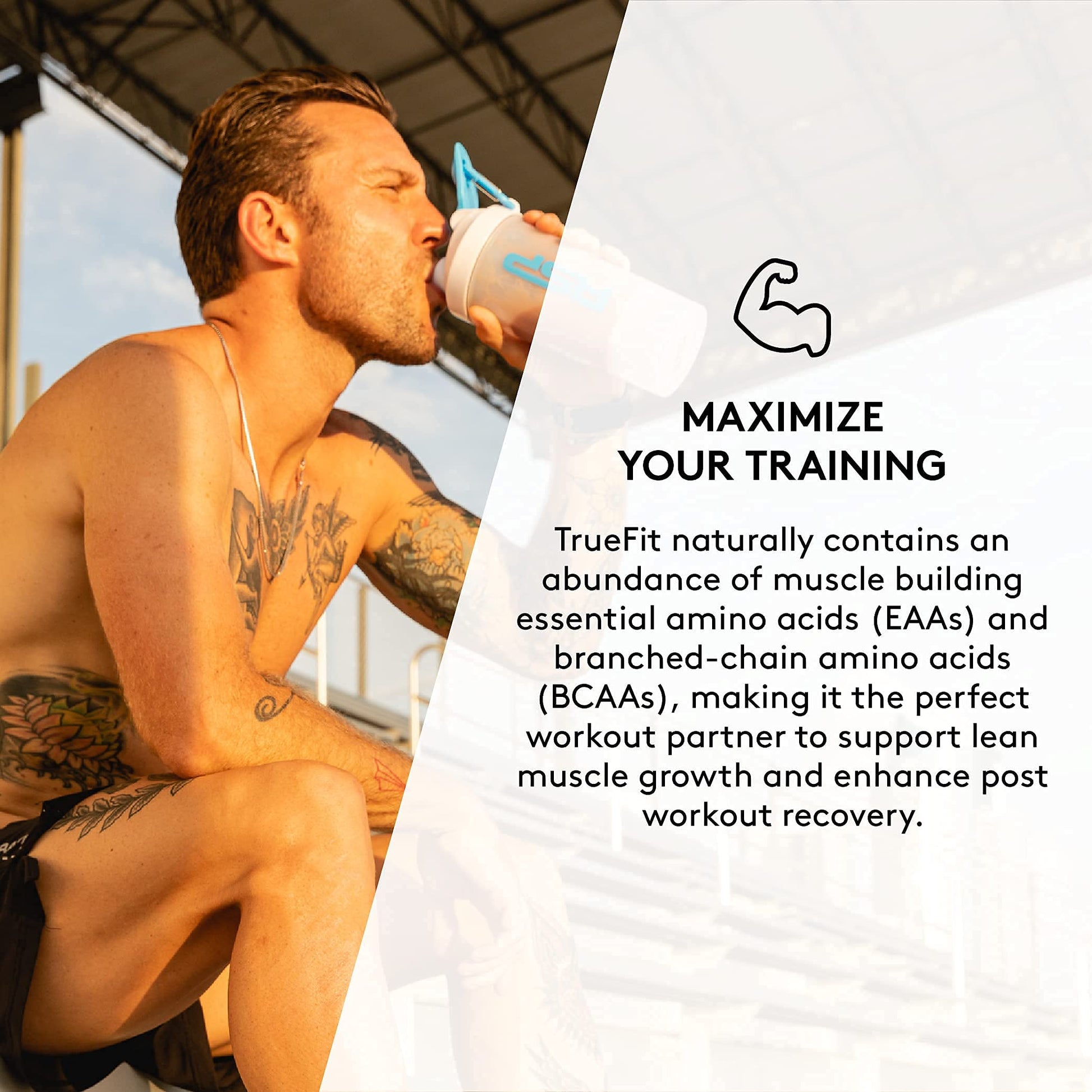 TrueFit Meal Replacement Shake Protein Powder, Grass Fed Whey + Organic Fruits RSP NUTRITIONBuy Supplements Australia