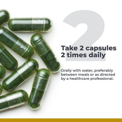Premier Research Labs Medi Chlorella-FX - Chlorella Capsules, Chlorophyll Capsules, Organic Pills for Women & Men, Chlorophyll Supplement - 120 Vegetarian Capsules Premier Research LabsBuy Supplements Australia