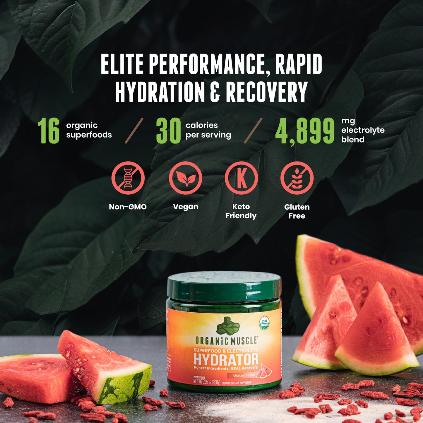 Organic Muscle Hydrator | Natural Electrolyte Powder for Peak Performance & Recovery - Watermelon Flavor, 20 Servings Organic MuscleBuy Supplements Australia