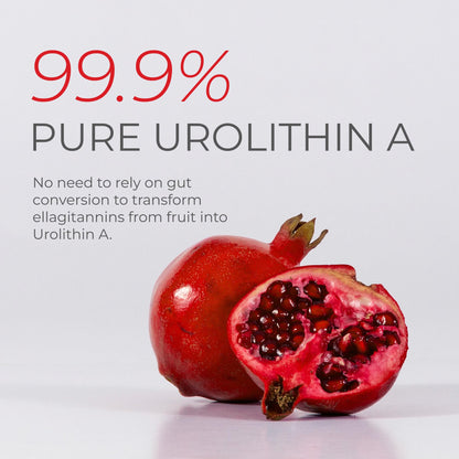 Neurogan Urolithin A PRO Capsules - 1000mg, 120 Ct - Advanced Cellular Health, Post Biotic Supplements - Ultra Micronized Urolithin A Supplement, Sourced from Pomegranate Extract NeuroganBuy Supplements Australia