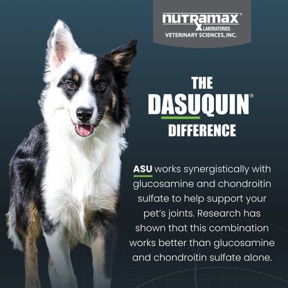 Nutramax Dasuquin for Small to Medium Dogs, Joint Health Supplement, Contains Glucosamine for Dogs, Plus Chondroitin, ASU, MSM and More, Supports Healthy Joints, Chewable Tablets, 150 Count Nutramax LaboratoriesBuy Supplements Australia