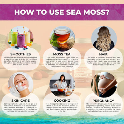 WELLNESS LABSRX Irish Sea Moss Gel Raw - Wildcrafted Superfood Seamoss Gel - Elderberry Flavor, Vitamin and Mineral-Rich from Pristine Caribbean Waters, Immune and Digestive Health Support - 10 oz. WELLNESS LABSRXBuy Supplements Australia