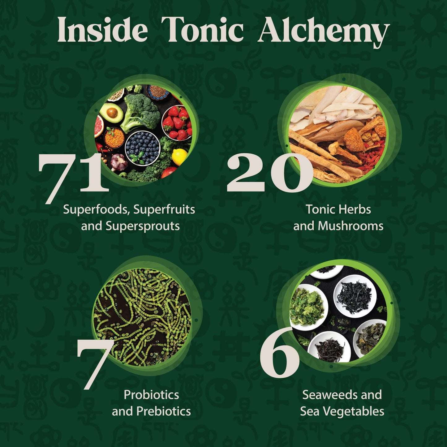 Dragon Herbs Tonic Alchemy Superfood Greens Powder with 91 Ingredients: Tonic Herbs, Ashwagandha, Mushrooms, Probiotics, Super Greens, Seaweeds, Fruits, Vegetables, Spirulina - 30 Servings Dragon HerbsBuy Supplements Australia